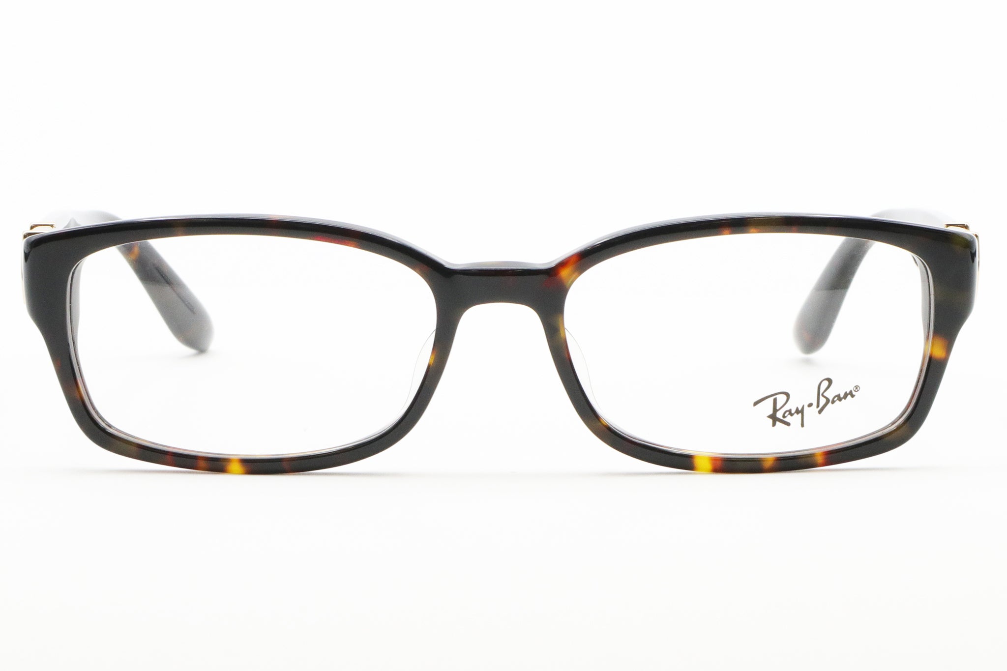 Ray-Ban(レイバン) RX 5198-2345ブラウン(53)