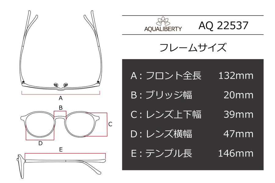 【鯖江製】AQUALIBERTY(アクアリバティ) AQ 22537-GRグレー(47)