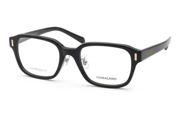 【鯖江製】FERRAGAMO(フェラガモ) SF 3020LB-001ブラック(53)
