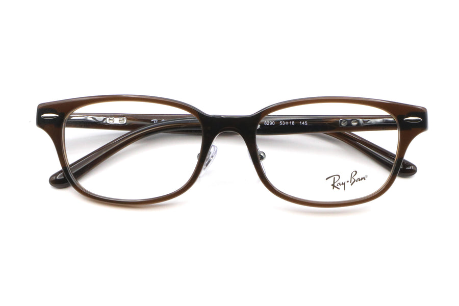 Ray-Ban(レイバン) RX 5427D-8290トランスペアレントブラウン(53)