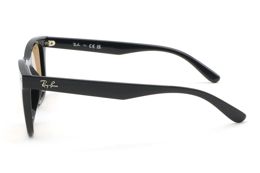 Ray-Ban RB 4391D サングラス ケース付き Ray-Ban(レイバン) RB 4391D-601/93ブラック(65) – 武田メガネ