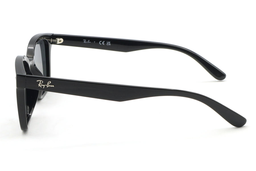 RayBan 未使用品RB4461D 601/87 サングラス レイバン Ray-Ban(レイバン) RB 4461D-601/87ブラック(64) – 武田メガネ