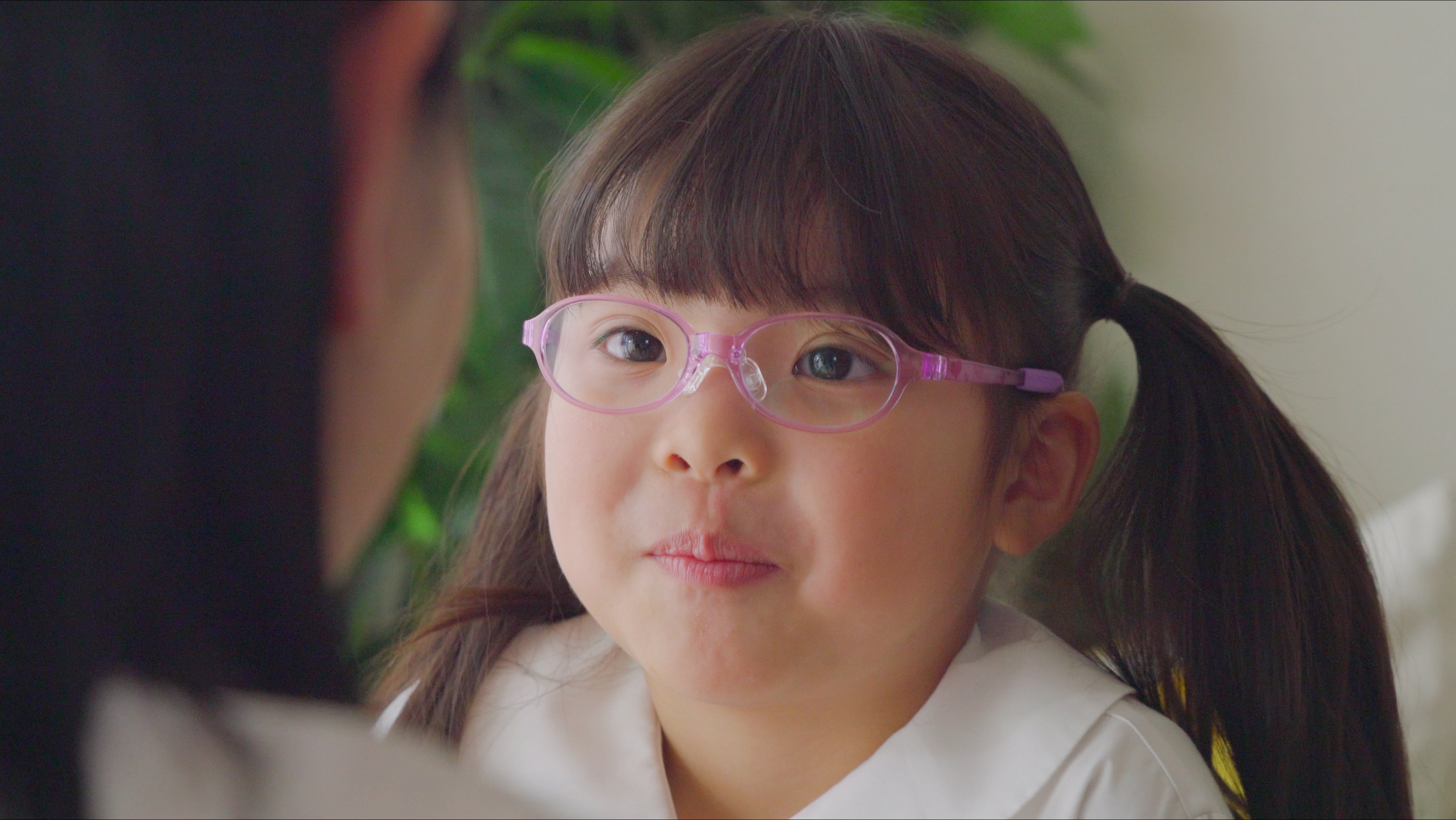 TOMATO GLASSES(トマトグラッシーズ) TKAC32オレンジ/犬(43サイズ